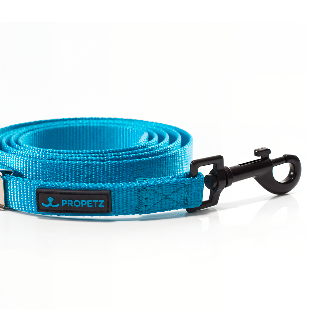 Guia De Nylon Propetz 45cm - Azul