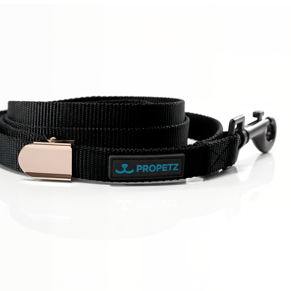 Guia De Nylon Propetz 45cm - Preta