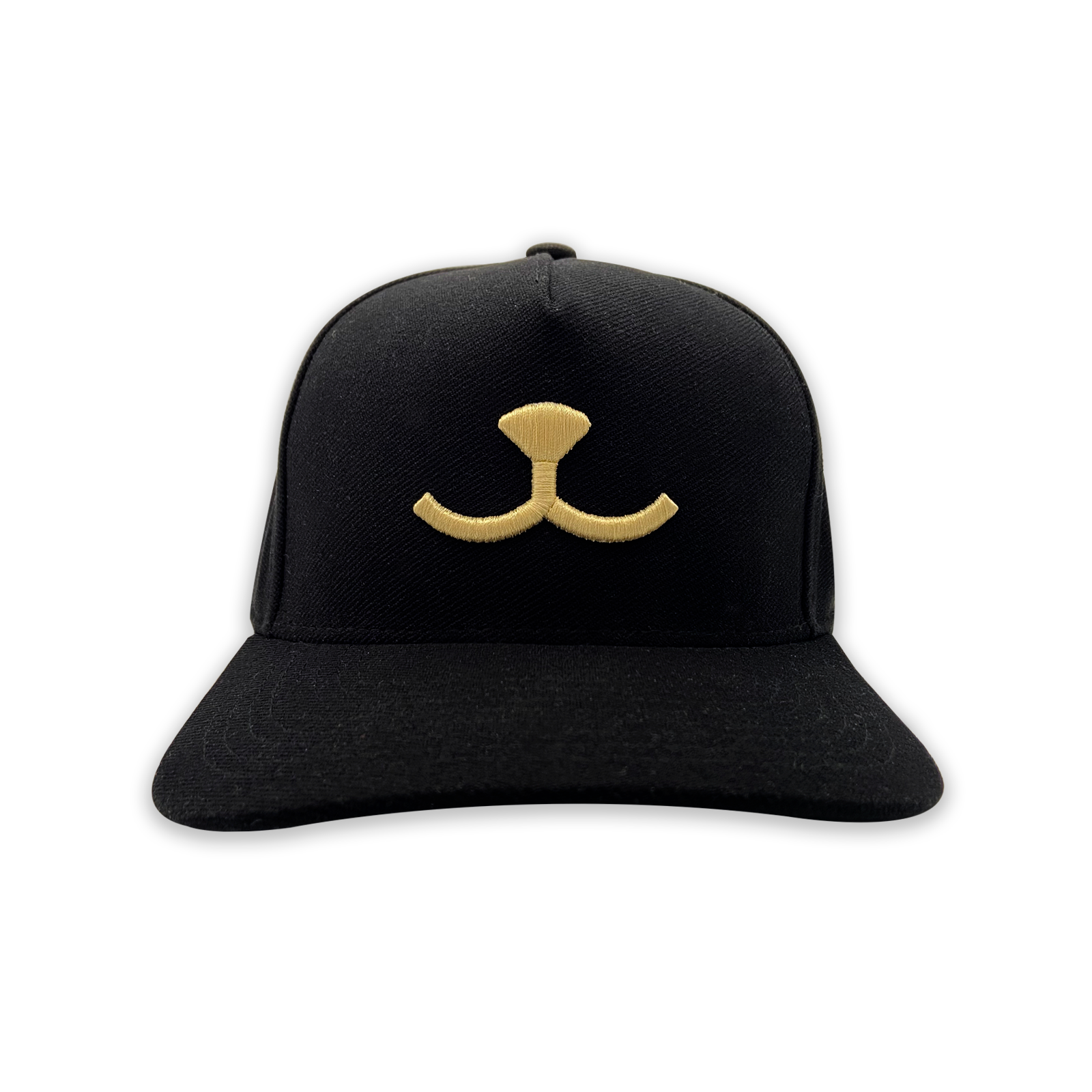 Boné Preto Bordado Dourado Propetz