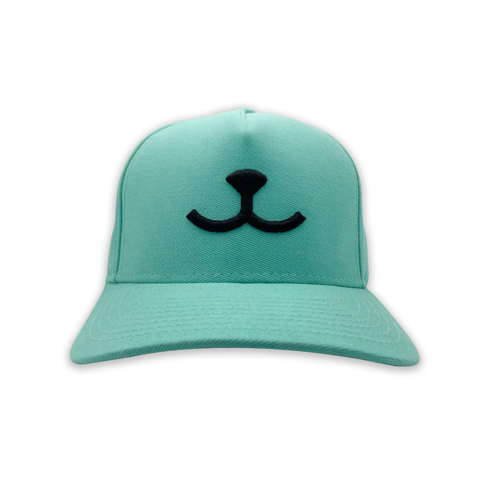 Boné Bordado Azul - Propetz