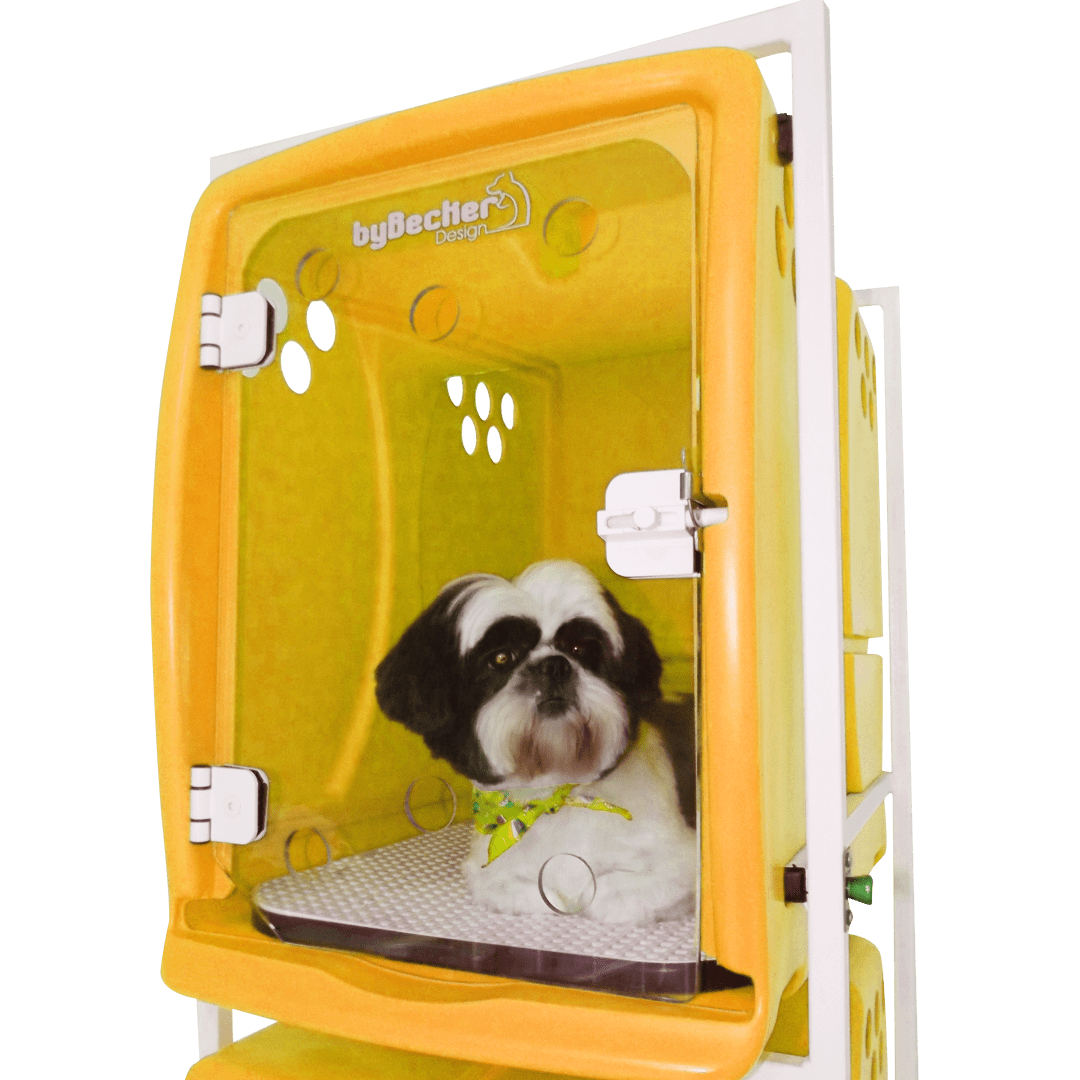 Canil Rotomoldado para Animais, 3 Lugares BYBECKER - Amarelo