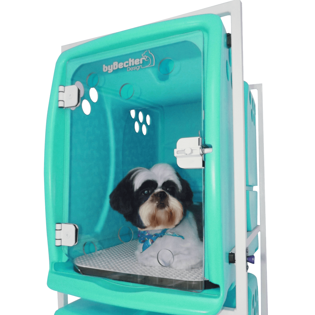 Canil Para Cachorro Rotomoldado 3 Lugares Verde Bybecker