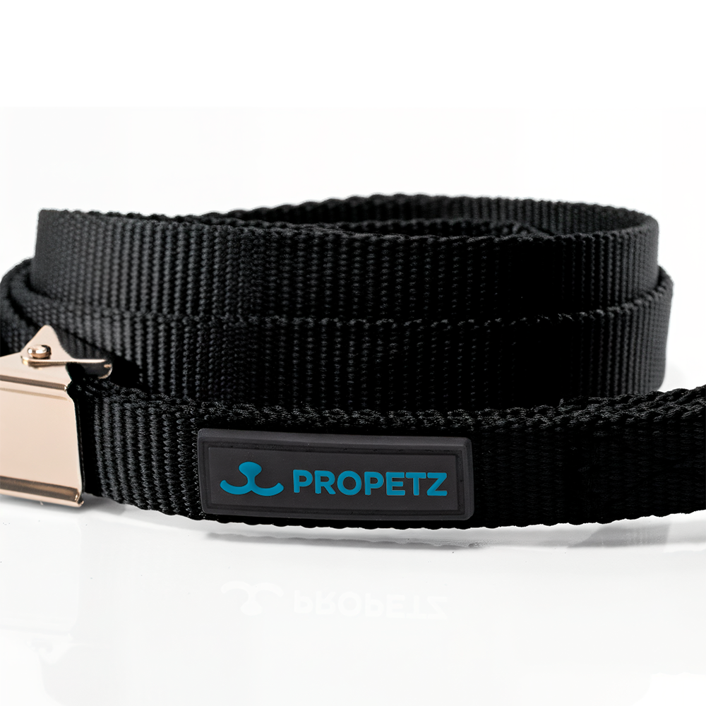 Guia De Nylon Propetz 60 Cm – Preta