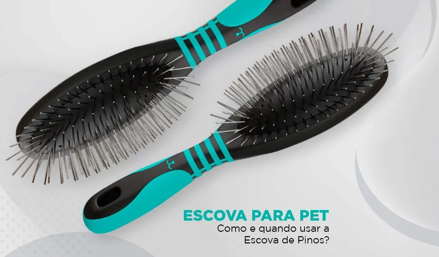 Escova Para Pet: Como E Quando Usar A Escova De Pinos?