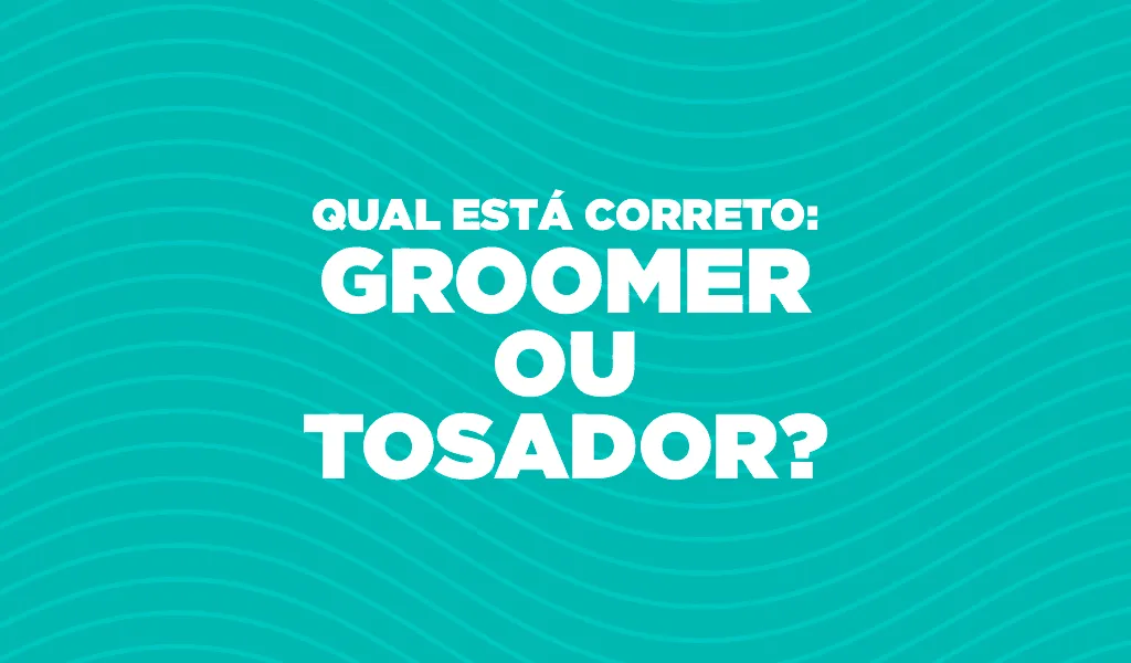 Qual Está Correto: Groomer ou Tosador?
