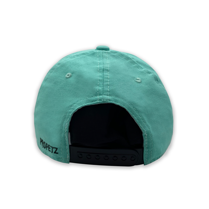 Boné Bordado Azul - Propetz