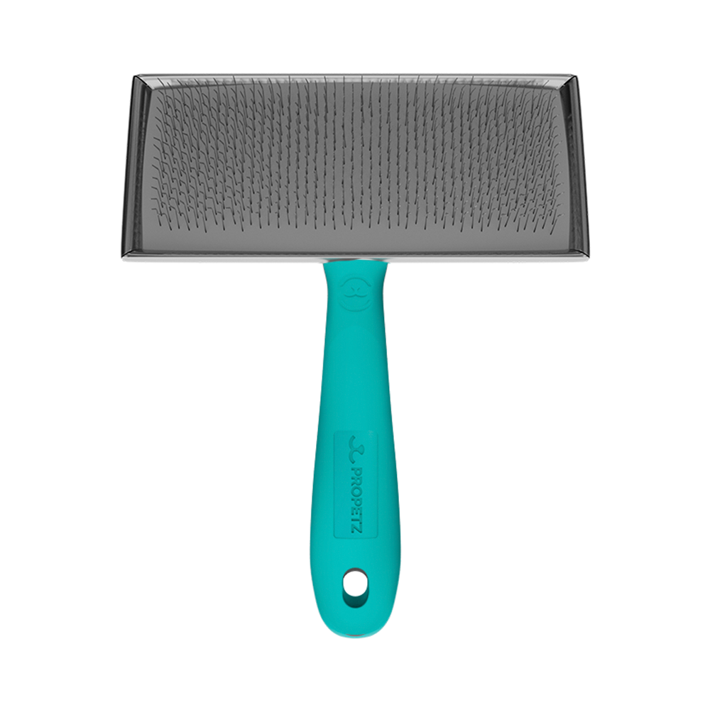 Rasqueadeira Média Reta Propetz