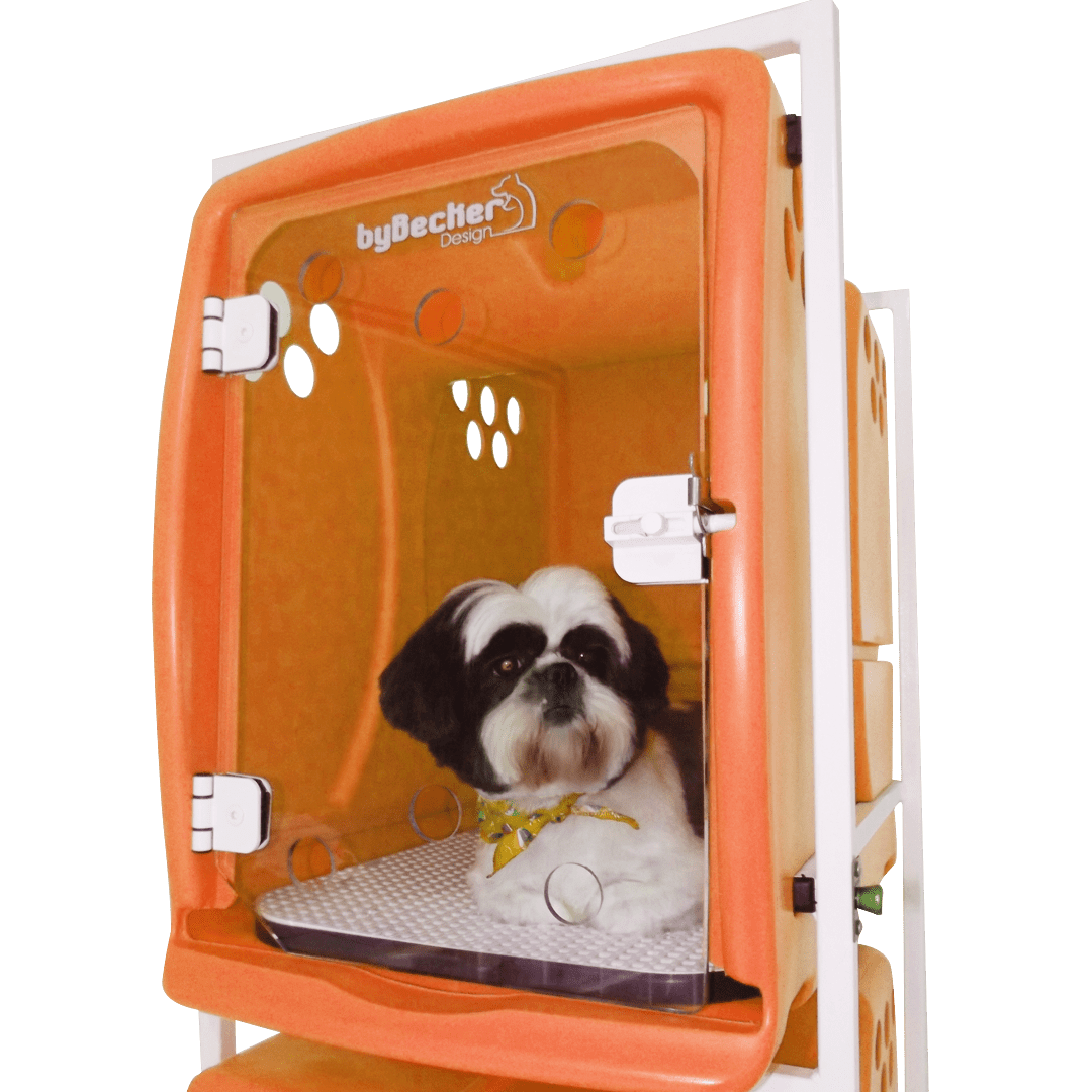 Canil Para Cachorro Rotomoldado 3 Lugares Laranja Bybecker