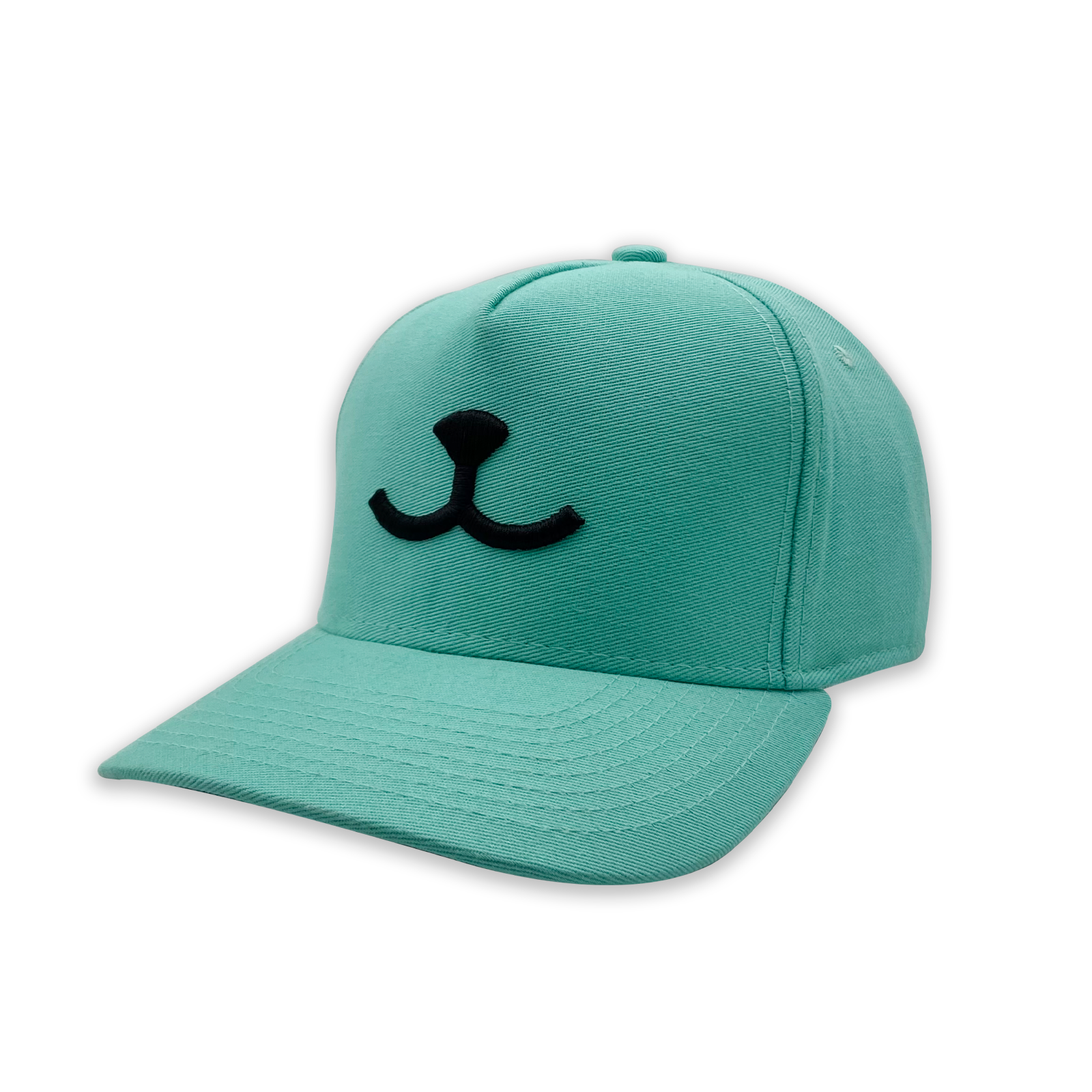 Boné Bordado Azul - Propetz