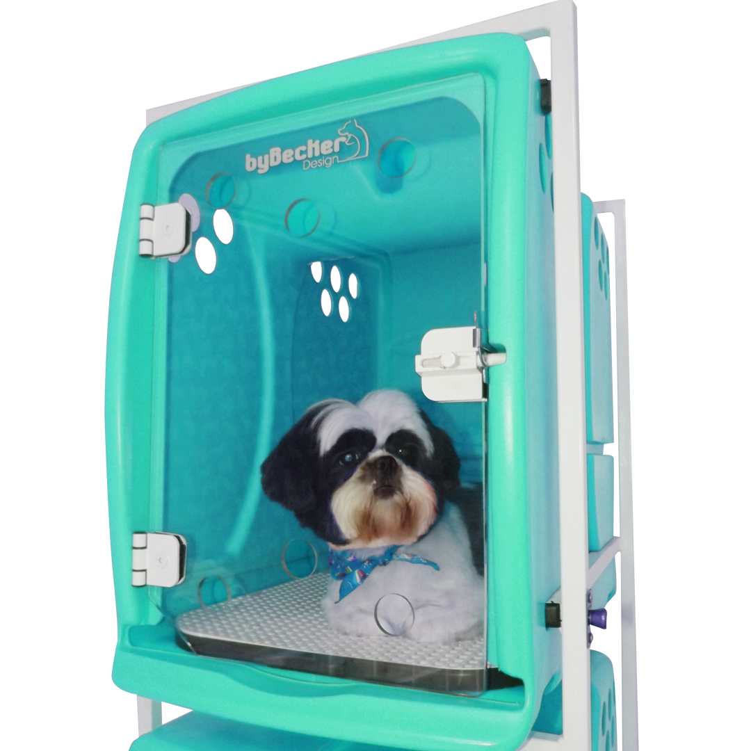 Canil Rotomoldado Pequeno Bybecker - Verde Água (Modulo)