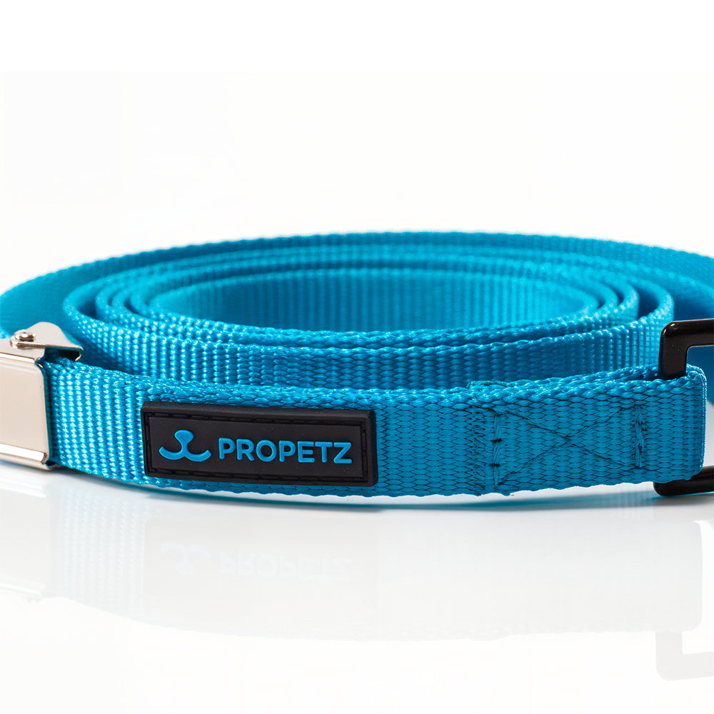 Guia De Nylon Propetz  45cm - Azul