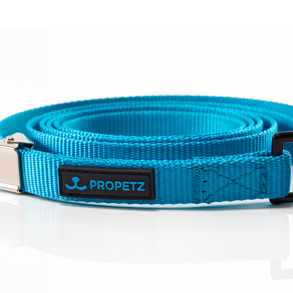 Guia De Nylon Propetz 60 Cm - Azul
