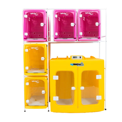 Combo Canil 5 Lugares + Secadora Bybecker