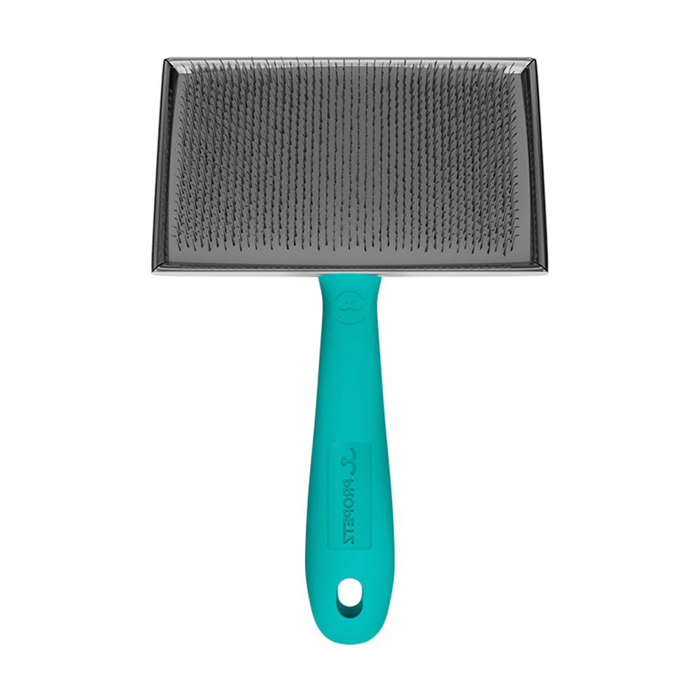 Rasqueadeira Grande Reta Clássica Propetz