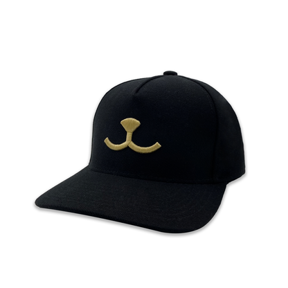 Boné Preto Bordado Dourado Propetz