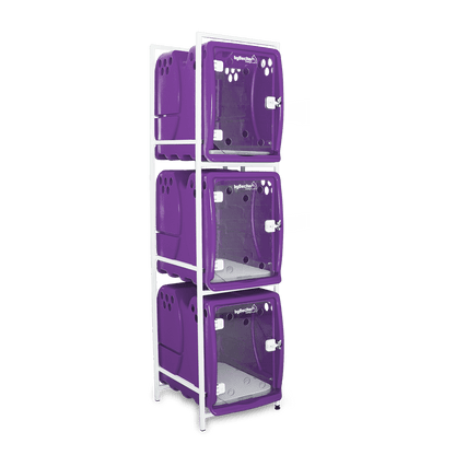 Canil Para Cachorro Rotomoldado 3 Lugares Roxo Bybecker